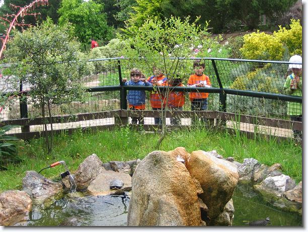 Diapositiva siguiente